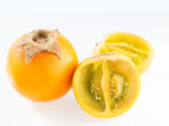 Naranjilla - Relative of the Tomato.png