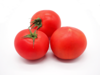 Midi Tomatoes.png