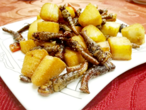 Chinese Cuisine -（馒头蜻蜓蛹）Man Tou Qing Ting Yong.png