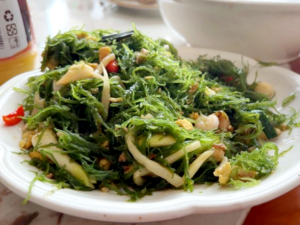 Chinese Cuisine -（海藻类）Seaweed Dishes.png