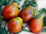 Heirloom Tomato - Japanese Black Trifele.png