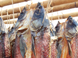 Chinese Cuisine -（腌鱼）Conserved Fish.png