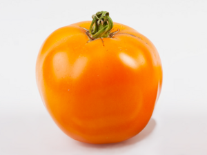 Heirloom Tomato - Valencia.png