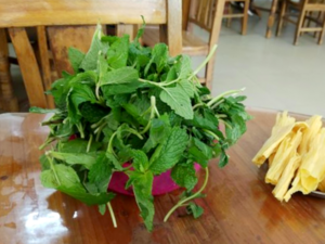 Saruma henryi -（狗肉香）Hua Jiang Gou Rou Herbs.png