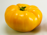 Heirloom Tomato - Dr. Wyche's Yellow.png