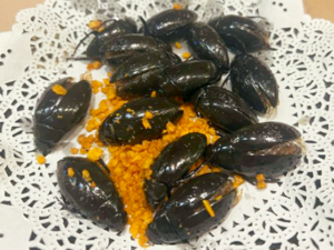 Chinese Cuisine -（椒盐龙虱）Jiao Yan Long Shi.png