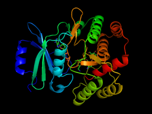 Kanamycin kinase - APH(3').png