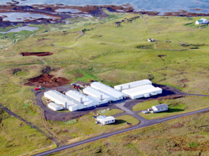 Icelandic Farms - Nesbúegg ehf.png