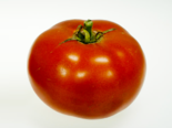 Heirloom Tomato - Silvery Fir Tree.png